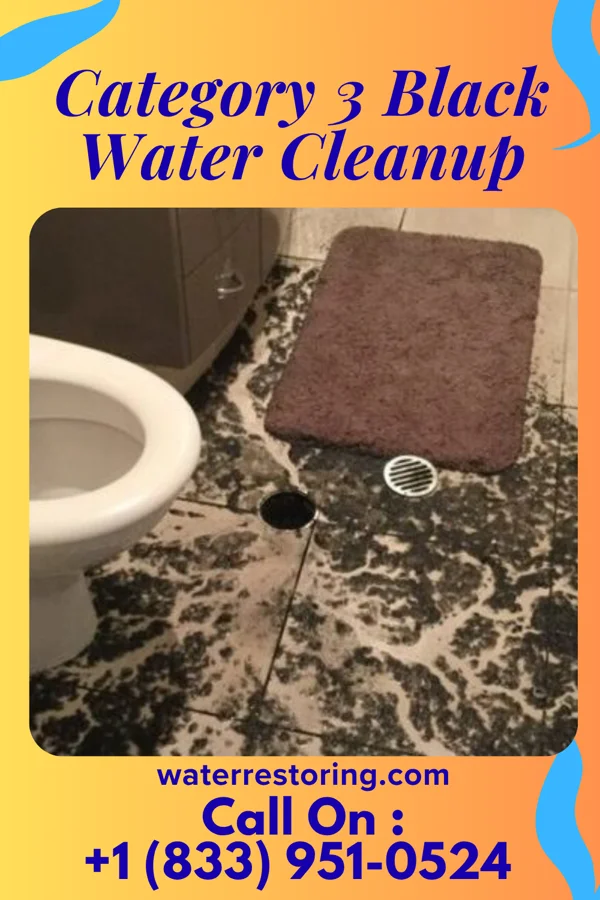 Category 3 Black Water Cleanup in Aspen Hill, MD