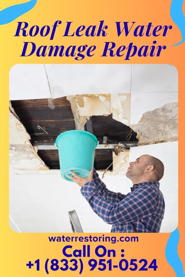 Roof Leak Water Damage Repair in Aspen Hill, MD