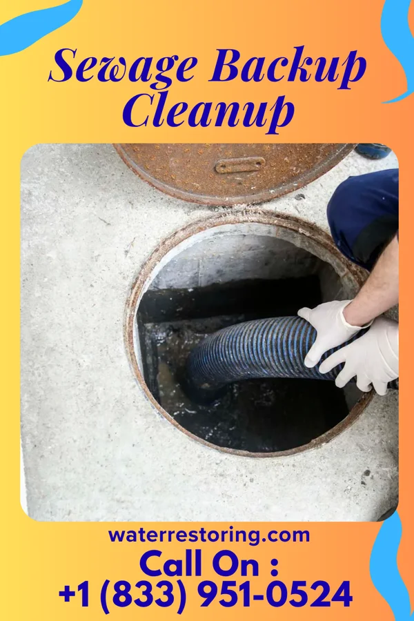 Sewage Backup Cleanup in Aspen Hill, MD